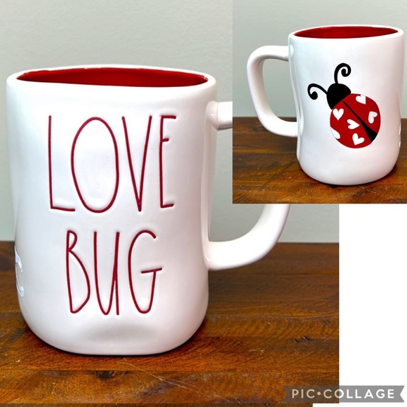 Rae Dunn Other - Rae Dunn “Love Bug” Double Sided Lady Bug Mug